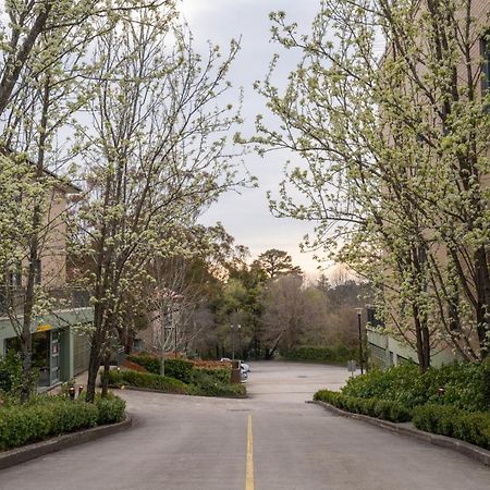 Leisure Inn Spires Leura Bagian luar foto
